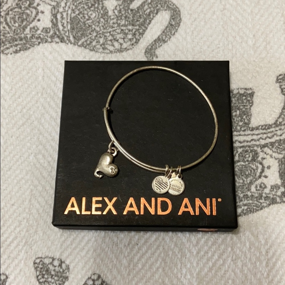 Alex and Ani silver bracelet
